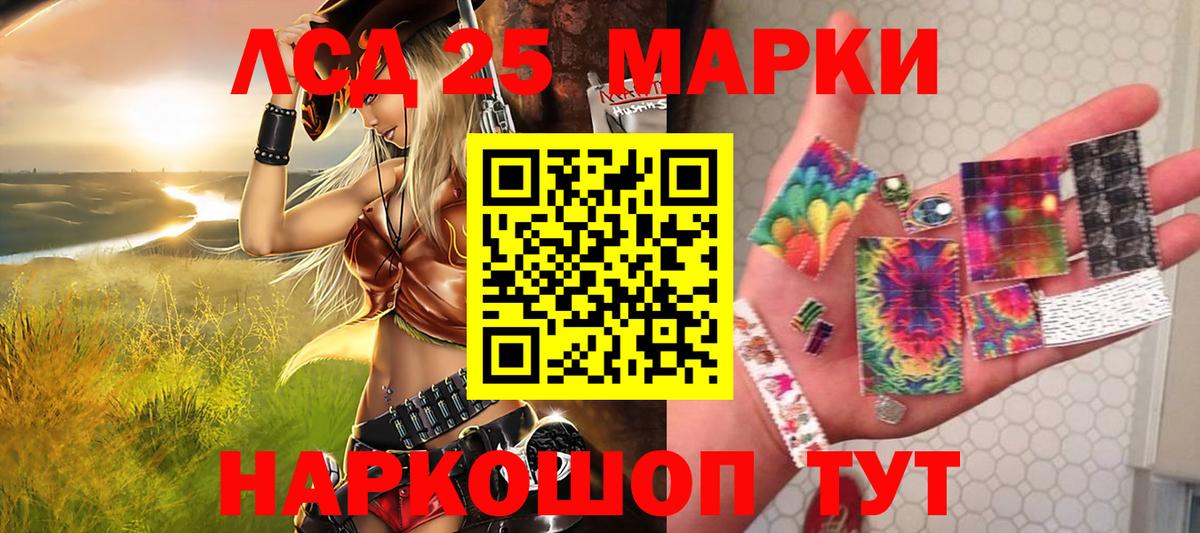 где купить наркоту  Вход с VPN  Бердск  Наркотические марки 1500мкг  Наркотические марки 1500мкг 