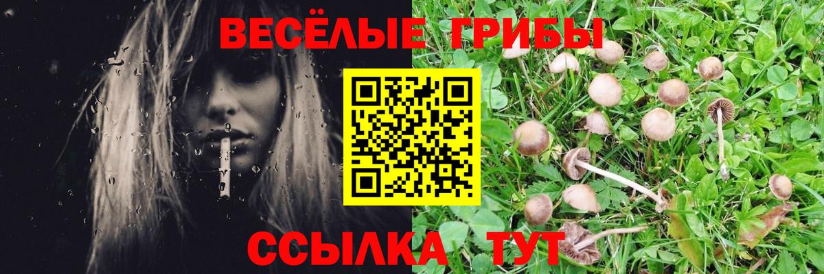 Галлюциногенные грибы мухоморы  Вход с VPN  Бердск  Псилоцибиновые грибы мухоморы 
